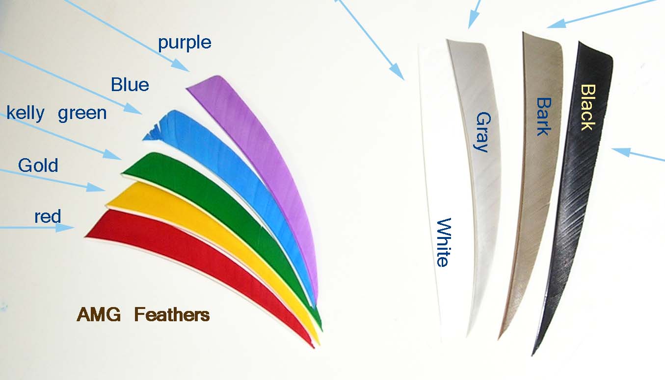 amg feathers